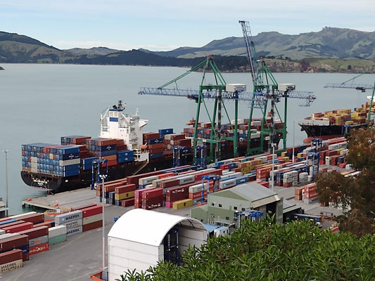 Lyttleton Port Visit for BTS Staff