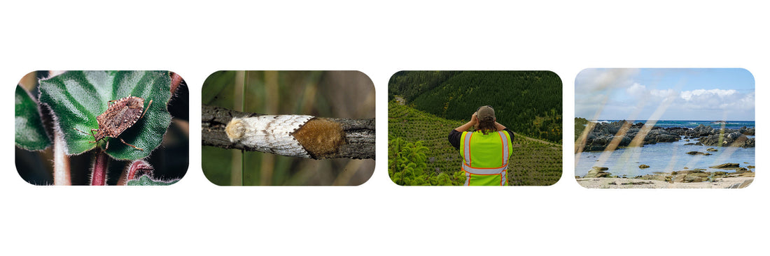 FREE Biosecurity e-Learning courses available now!