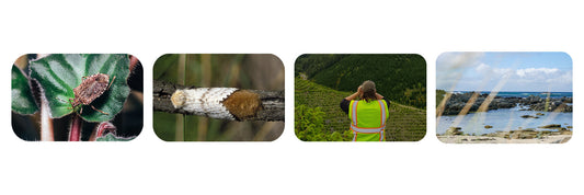 FREE Biosecurity e-Learning courses available now!