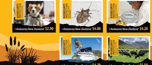 The Border Space | December 2025